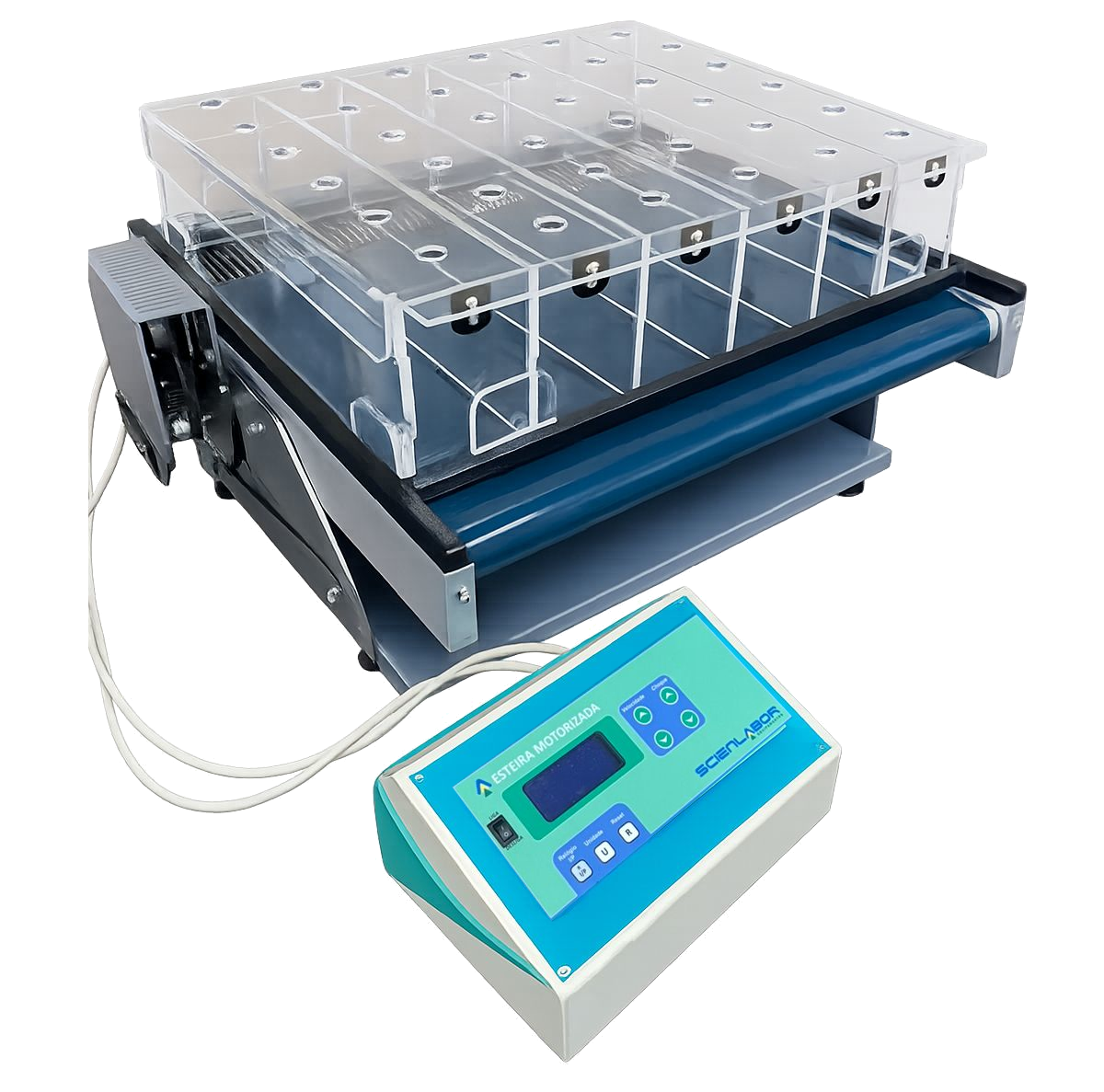 O teste de esteira motorizada (Treadmill Test) é um dos ensaios mais utilizados para avaliar a capacidade física, resistência, fadiga e desempenho cardiorrespiratório de ratos e camundongos. Também é amplamente empregado em pesquisas de doenças cardiovasculares, musculares, neurológicas, metabólicas e farmacológicas